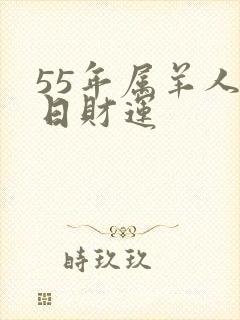 55年属羊人今日财运
