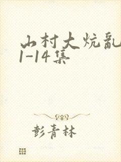 山村大炕乱肉续1-14集封面