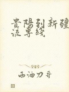 贵阳到新疆的物流专线封面