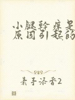 小腿干痒是什么原因引起的封面