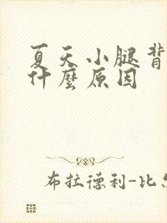 夏天小腿背痒是什么原因