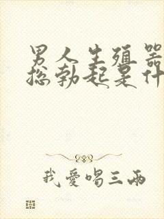 男人生殖器晚上总勃起是什么原因