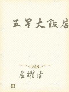 五星大饭店小说