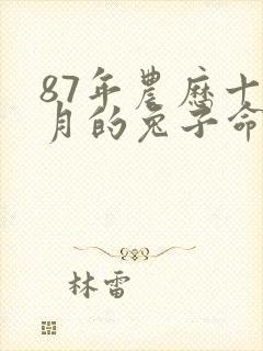 87年农历十一月的兔子命运