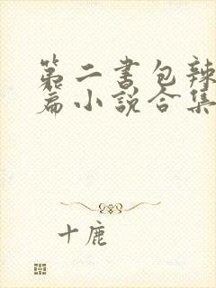 第二书包辣网短篇小说合集