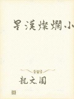 星汉灿烂小说