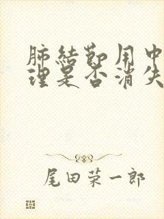 肺结节用中药调理是否消失