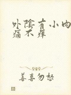 外阴有小肉粒不痛不痒