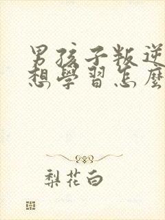 男孩子叛逆期不想学习怎么办