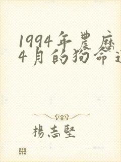 1994年农历4月的狗命运如何