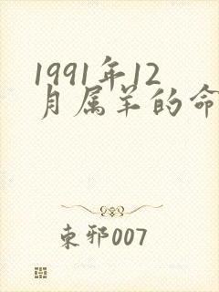 1991年12月属羊的命运女封面