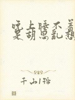 晚上睡不着觉老是胡思乱想封面