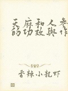 天麻和人参炖鸡的功效与作用封面