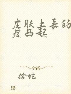 皮肤上长的黑色痣凸起