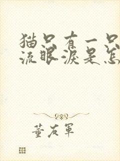 猫只有一只眼睛流眼泪是怎么回事