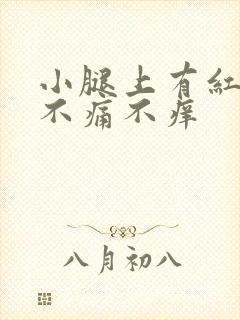 小腿上有红点点不痛不痒