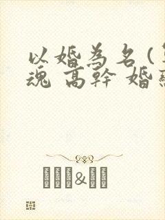 以婚为名 (军魂 高干 婚恋)