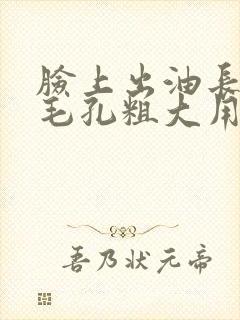 脸上出油长痘痘毛孔粗大用什么面膜