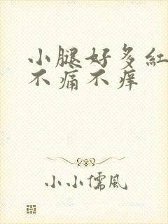 小腿好多红点点不痛不痒