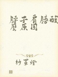 脖子肩膀酸痛什么原因