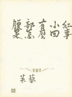 腹部有小红疙瘩是怎么回事