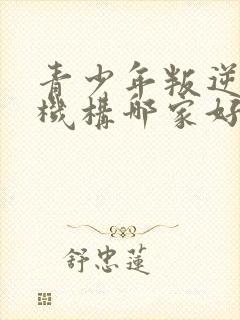 青少年叛逆管教机构哪家好封面