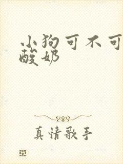 小狗可不可以喝酸奶封面