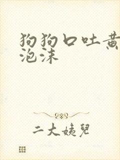 狗狗口吐黄水带泡沫