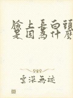 脸上长白头粉刺是因为什么