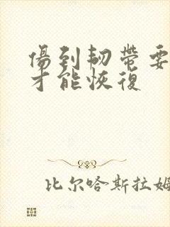 伤到韧带要多久才能恢复