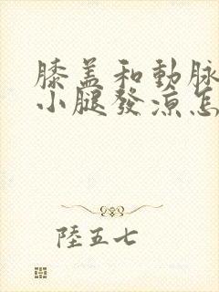 膝盖和动脉闭塞小腿发凉怎么回事