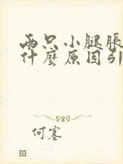 两只小腿胀痛是什么原因引起的