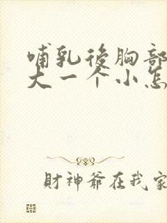 哺乳后胸部一个大一个小怎么办啊