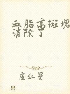 血脂高斑块怎么消除了