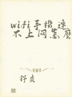 wifi手机连不上网怎么回事