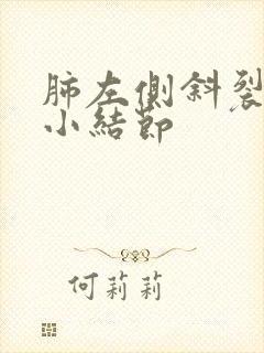 肺左侧斜裂处微小结节