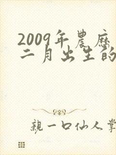 2009年农历二月出生的男孩命运如何封面