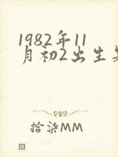 1982年11月初2出生是什么命