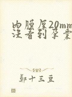 内膜厚20mm没看到孕囊