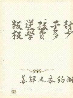 叛逆孩子封闭学校学费多少