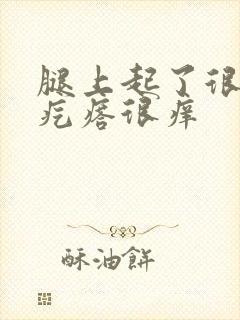 腿上起了很多小疙瘩很痒