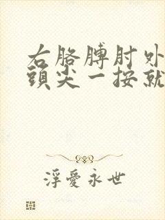 右胳膊肘外侧骨头尖一按就疼封面