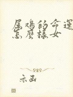 属鸡的命运一生怎么样女封面