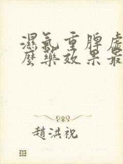 湿气重脾虚吃什么药效果最好