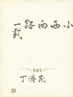 一路向西小说下载封面