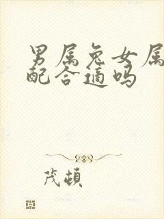 男属兔女属猴婚配合适吗