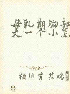 母乳期胸部一个大一个小怎么办封面