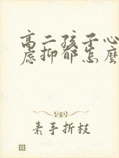 高二孩子心情焦虑抑郁怎么办封面