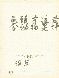 龟头有流黄脓状分泌物是什么病封面