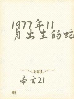 1977年11月出生的蛇今年运势